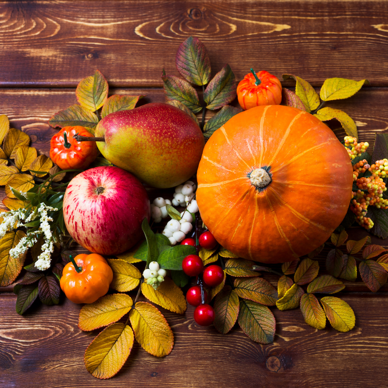 Thanksgiving Centerpiece Ideas to Elevate Your Holiday Table